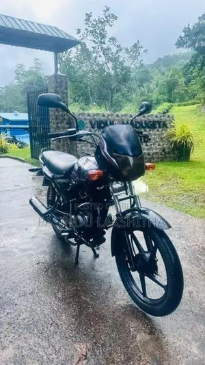 Bajaj Platina 100 2015