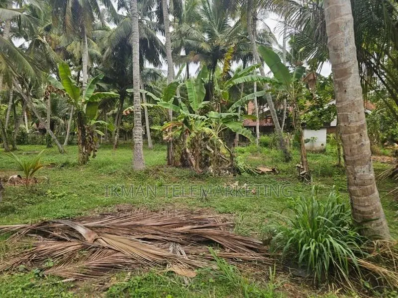 Land for Sale in Dummaladeniya, Wennappuwa