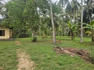 Land for Sale in Dummaladeniya, Wennappuwa