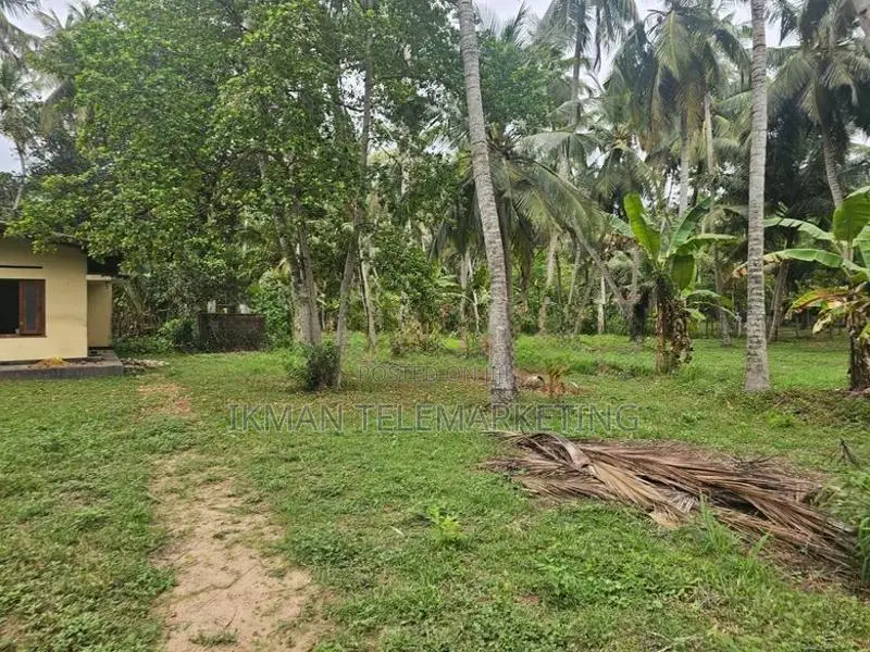 Land for Sale in Dummaladeniya, Wennappuwa