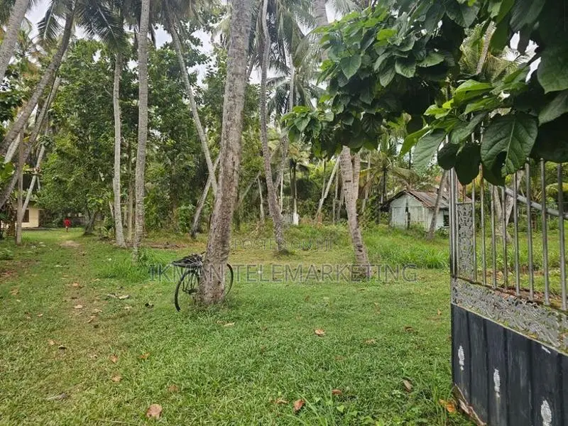 Land for Sale in Dummaladeniya, Wennappuwa