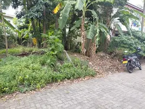 Solid Land for Sale Borelesgamuwa