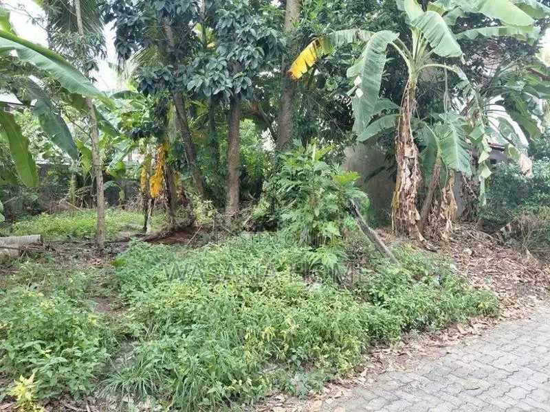Solid Land for Sale Borelesgamuwa