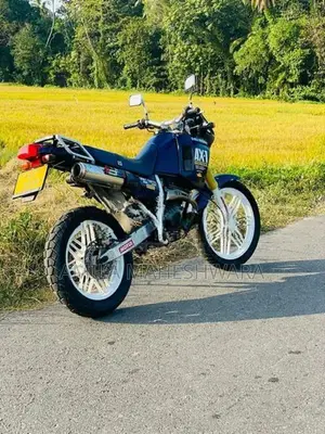 Honda AX1 250 1989