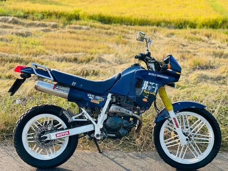Honda AX1 250 1989