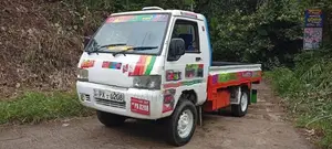 Mahindra Maxximo Buddy Lorry 1998