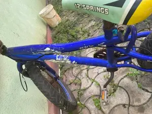 Atlas BMX Bicycle