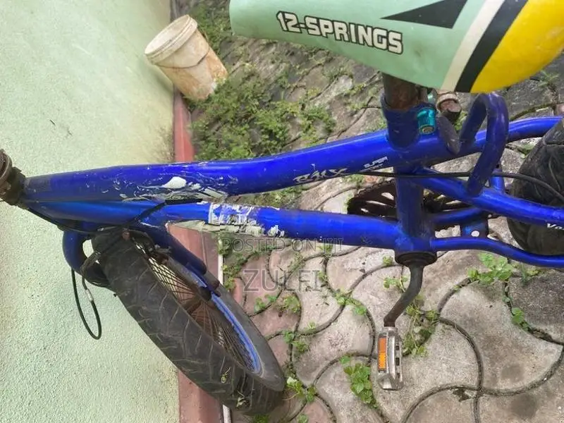 Atlas BMX Bicycle