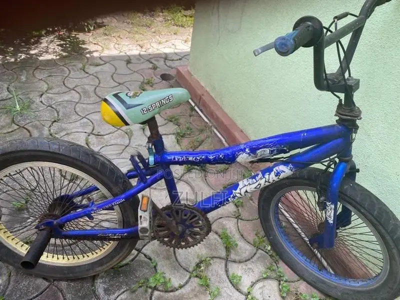Atlas BMX Bicycle