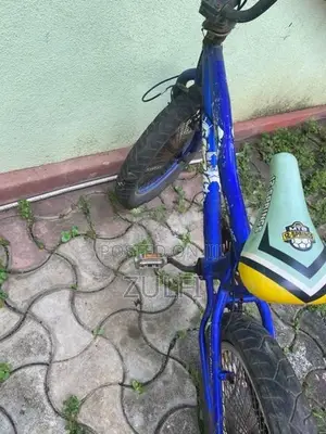 Atlas BMX Bicycle
