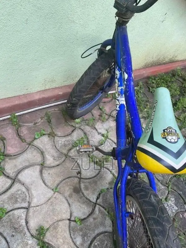Atlas BMX Bicycle