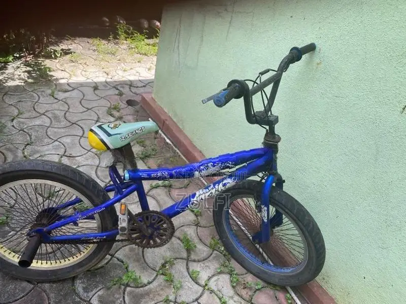 Atlas BMX Bicycle
