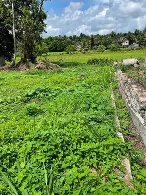 Beautiful Land Bordering A Paddy Field IN Panagoda Athurugiriya