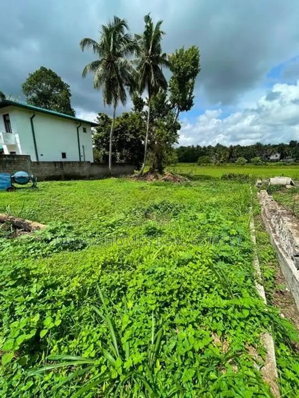 Beautiful Land Bordering A Paddy Field IN Panagoda Athurugiriya