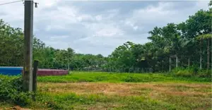 Thalagala Road Land for Sale Kottawa