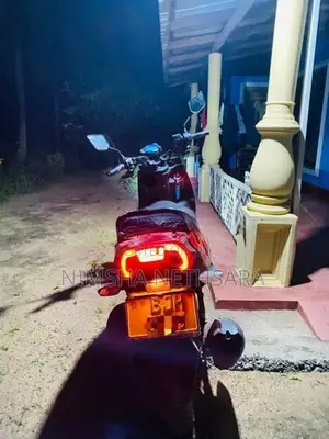 Dyno Scooby 125 2024