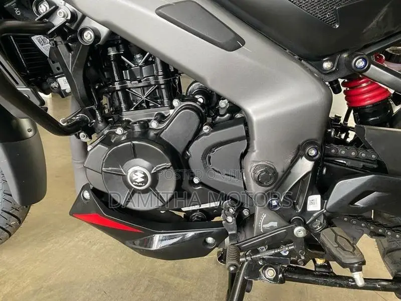 Bajaj Pulsar NS200 Brand New 2026