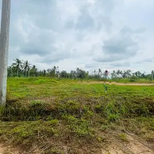 නාරම්මල මිගමුව පාරෙන් ඉඩමක් විකිණීමට