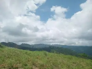 land for sale nillamba