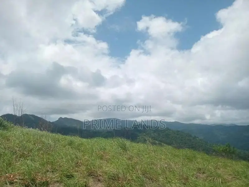 land for sale nillamba