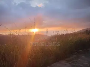 land for sale nillamba