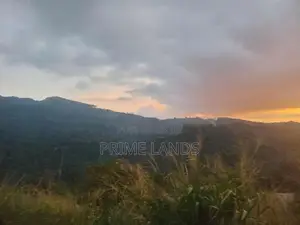land for sale nillamba