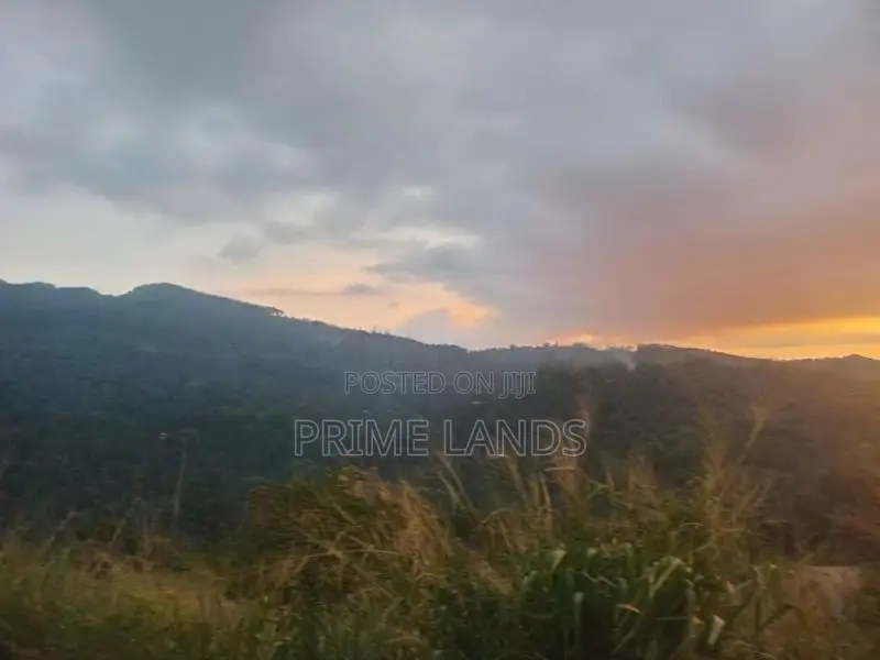 land for sale nillamba