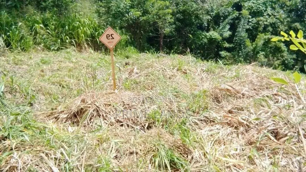 land for sale uthuwankanda