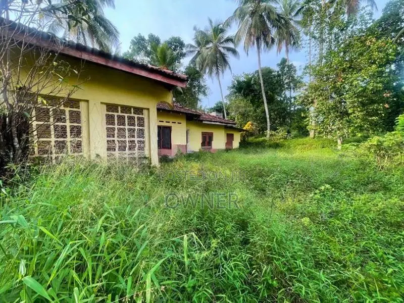 Commercial Property for Sale In Avissawella