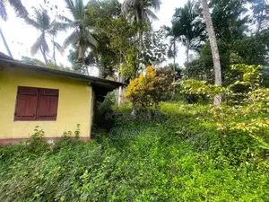 Commercial Property for Sale In Avissawella