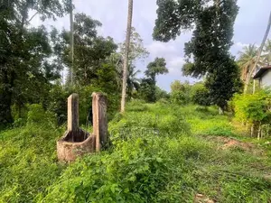 Commercial Property for Sale In Avissawella