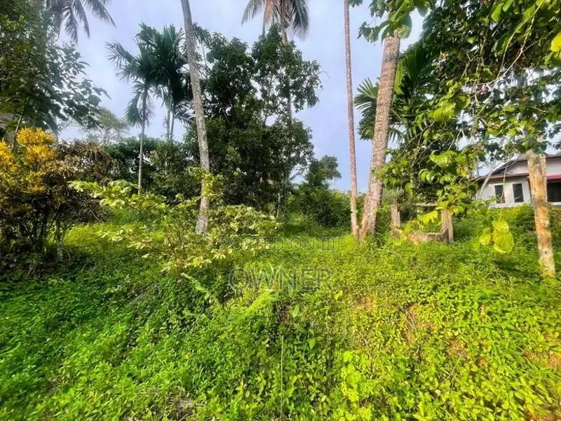 Commercial Property for Sale In Avissawella