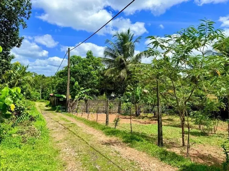 Land for Sale in Nittamuwa