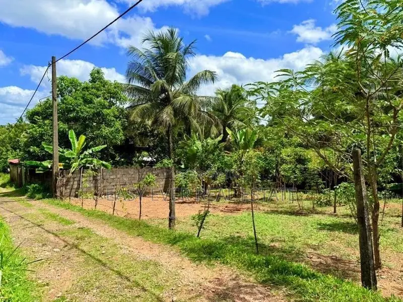 Land for Sale in Nittamuwa