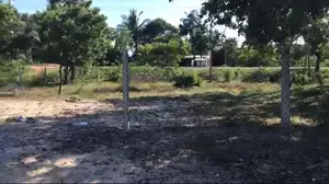 Beautiful Beachfront Land For Sale – Prime Location In Kinniya