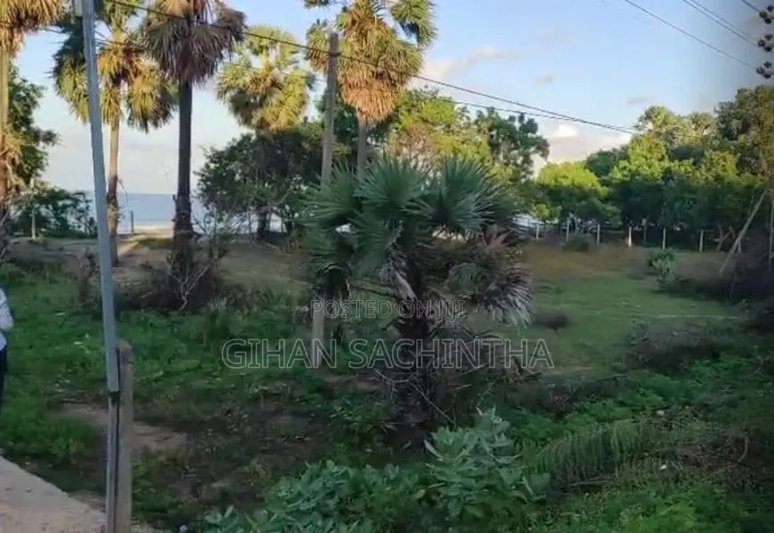 Beautiful Beachfront Land For Sale – Prime Location In Kinniya