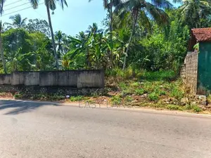 උඩුගම්පල වීදියවත්තෙන් වටිනා ඉඩමක් විකිණීමට