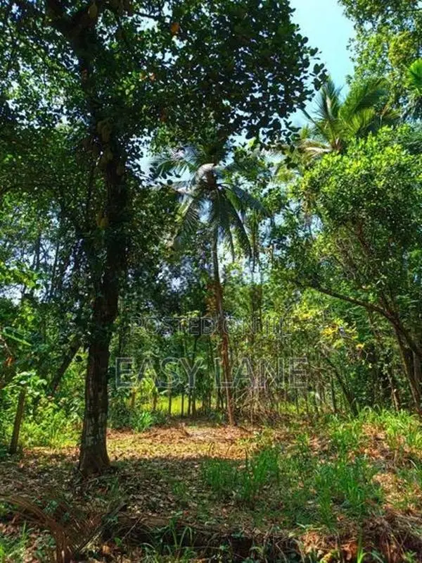 උඩුගම්පල වීදියවත්තෙන් වටිනා ඉඩමක් විකිණීමට