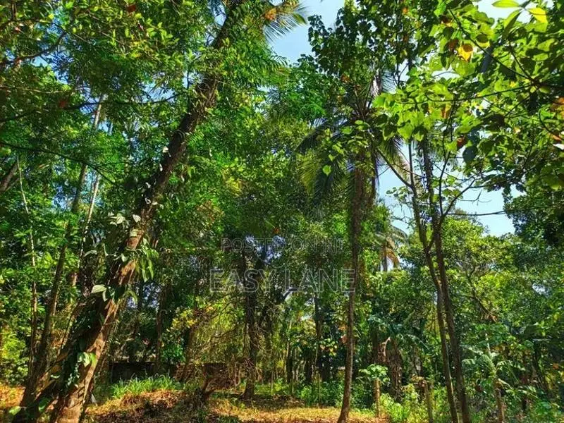 උඩුගම්පල වීදියවත්තෙන් වටිනා ඉඩමක් විකිණීමට
