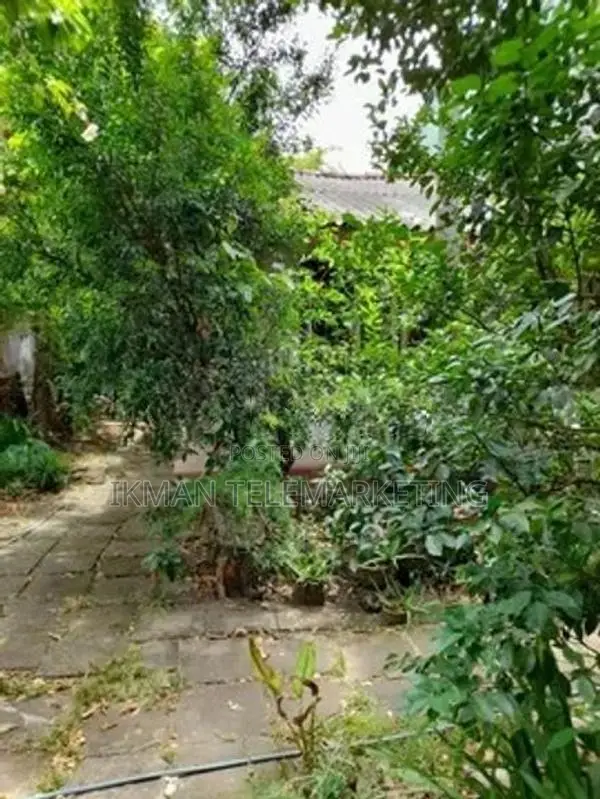 Land For Sale In Mount Lavinia