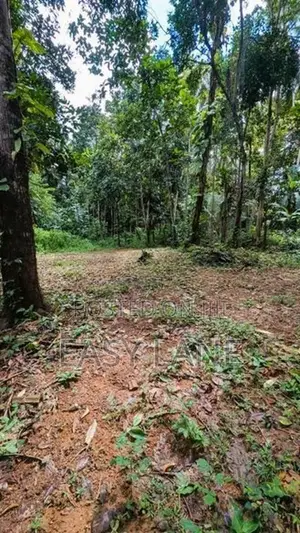 කඩවත වෑබඩ ප්‍රදේශයෙන් වටිනා ඉඩමක් විකිණීමට