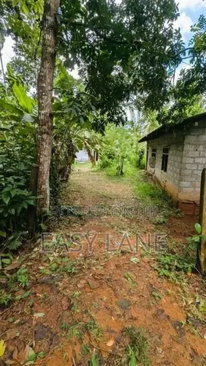 කඩවත වෑබඩ ප්‍රදේශයෙන් වටිනා ඉඩමක් විකිණීමට