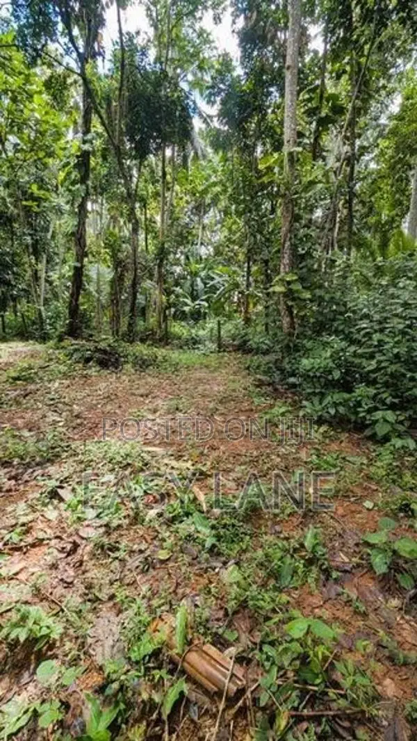 කඩවත වෑබඩ ප්‍රදේශයෙන් වටිනා ඉඩමක් විකිණීමට