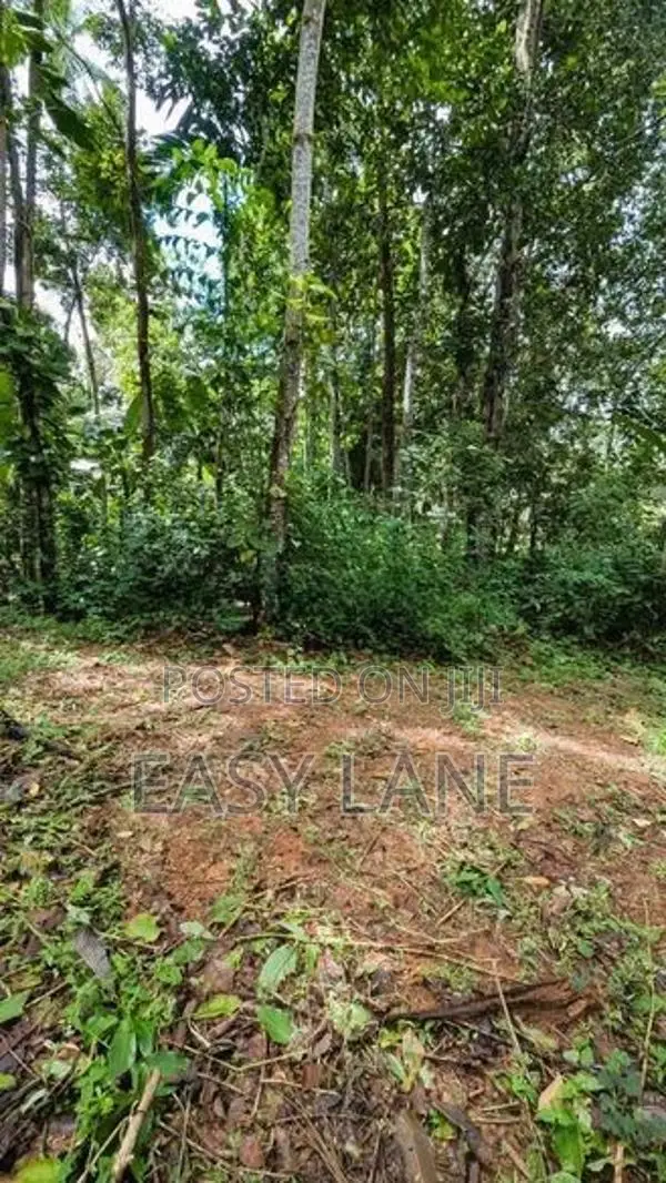 කඩවත වෑබඩ ප්‍රදේශයෙන් වටිනා ඉඩමක් විකිණීමට
