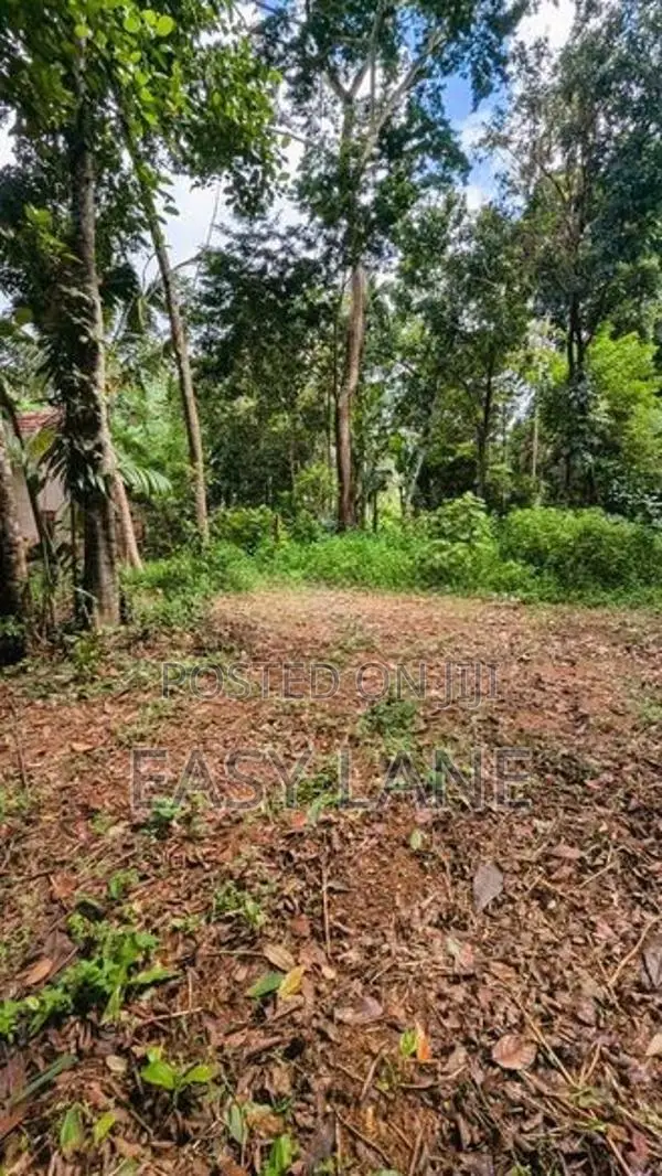 කඩවත වෑබඩ ප්‍රදේශයෙන් වටිනා ඉඩමක් විකිණීමට
