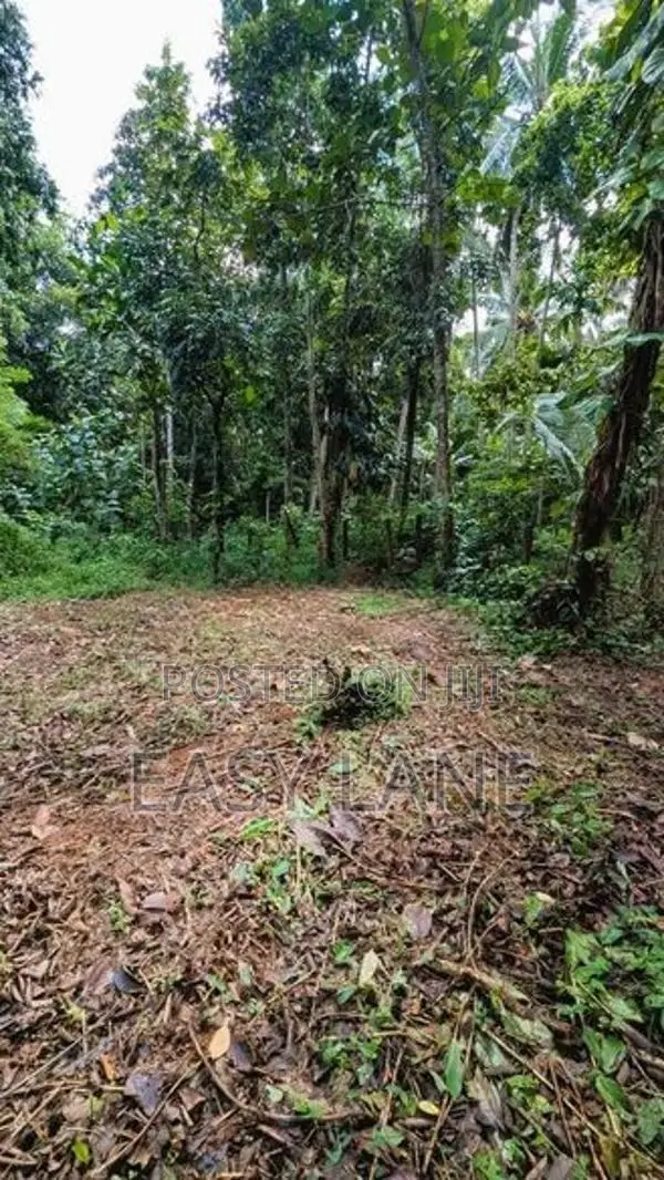 කඩවත වෑබඩ ප්‍රදේශයෙන් වටිනා ඉඩමක් විකිණීමට