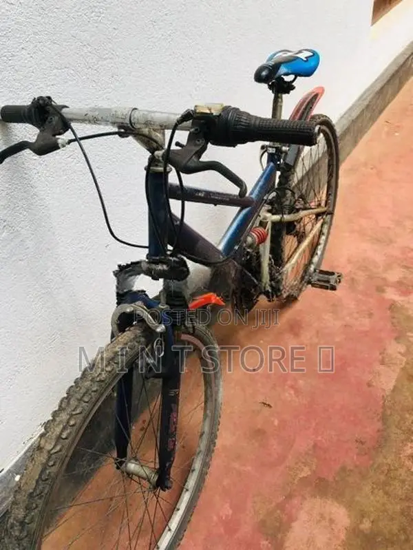Mountain Bicycle