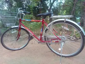 Lumala Bicycle