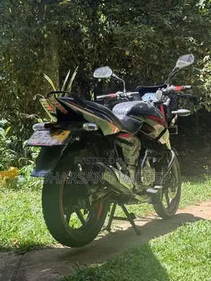 Bajaj Pulsar 150 2015