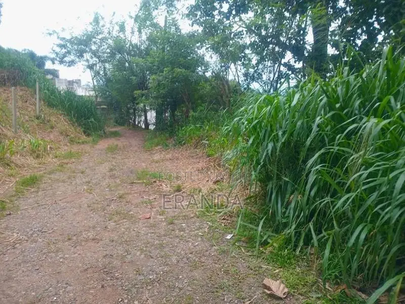 20 Perch Land for Sale in Kandy